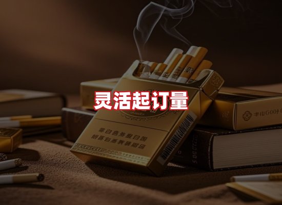 专业团队